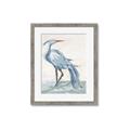 Picture of Blue Storks I _GroupedProduct_Rectangle_Portrait_Framed_Matted_