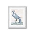 Picture of Blue Storks I _GroupedProduct_Rectangle_Portrait_Framed_Matted_