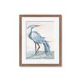 Picture of Blue Storks I _GroupedProduct_Rectangle_Portrait_Framed_Matted_