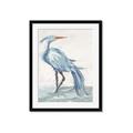 Picture of Blue Storks I _GroupedProduct_Rectangle_Portrait_Framed_Matted_