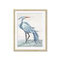 Picture of Blue Storks I _GroupedProduct_Rectangle_Portrait_Framed_Matted_