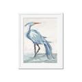 Picture of Blue Storks I _GroupedProduct_Rectangle_Portrait_Framed_Matted_