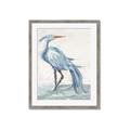 Picture of Blue Storks I _GroupedProduct_Rectangle_Portrait_Framed_Matted_