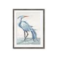 Picture of Blue Storks I _GroupedProduct_Rectangle_Portrait_Framed_Matted_