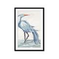 Picture of Blue Storks I _GroupedProduct_Rectangle_Portrait_Framed_Matted_