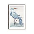 Picture of Blue Storks I _GroupedProduct_Rectangle_Portrait_Framed_Matted_