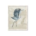 Picture of Pelican Flight _GroupedProduct_Rectangle_Portrait_Framed_Matted_