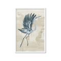 Picture of Pelican Flight _GroupedProduct_Rectangle_Portrait_Framed_Matted_