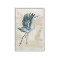 Picture of Pelican Flight _GroupedProduct_Rectangle_Portrait_Framed_Matted_