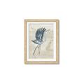 Picture of Pelican Flight _GroupedProduct_Rectangle_Portrait_Framed_Matted_