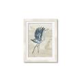 Picture of Pelican Flight _GroupedProduct_Rectangle_Portrait_Framed_Matted_