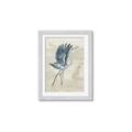 Picture of Pelican Flight _GroupedProduct_Rectangle_Portrait_Framed_Matted_