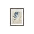 Picture of Pelican Flight _GroupedProduct_Rectangle_Portrait_Framed_Matted_
