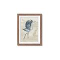 Picture of Pelican Flight _GroupedProduct_Rectangle_Portrait_Framed_Matted_
