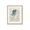 Picture of Pelican Flight _GroupedProduct_Rectangle_Portrait_Framed_Matted_