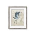 Picture of Pelican Flight _GroupedProduct_Rectangle_Portrait_Framed_Matted_