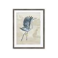 Picture of Pelican Flight _GroupedProduct_Rectangle_Portrait_Framed_Matted_