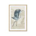Picture of Pelican Flight _GroupedProduct_Rectangle_Portrait_Framed_Matted_