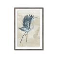 Picture of Pelican Flight _GroupedProduct_Rectangle_Portrait_Framed_Matted_