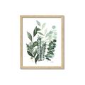 Picture of Green and Serene II _GroupedProduct_Rectangle_Portrait_Framed_Matted_