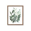 Picture of Green and Serene II _GroupedProduct_Rectangle_Portrait_Framed_Matted_