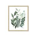 Picture of Green and Serene II _GroupedProduct_Rectangle_Portrait_Framed_Matted_