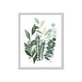 Picture of Green and Serene II _GroupedProduct_Rectangle_Portrait_Framed_Matted_