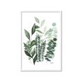 Picture of Green and Serene II _GroupedProduct_Rectangle_Portrait_Framed_Matted_