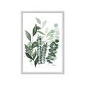 Picture of Green and Serene II _GroupedProduct_Rectangle_Portrait_Framed_Matted_