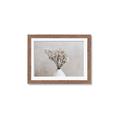 Picture of Breeze  _GroupedProduct_Rectangle_Landscape_Photography _GroupedProduct_Rectangle_Landscape_Framed_Matted_