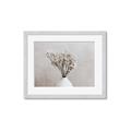 Picture of Breeze  _GroupedProduct_Rectangle_Landscape_Photography _GroupedProduct_Rectangle_Landscape_Framed_Matted_