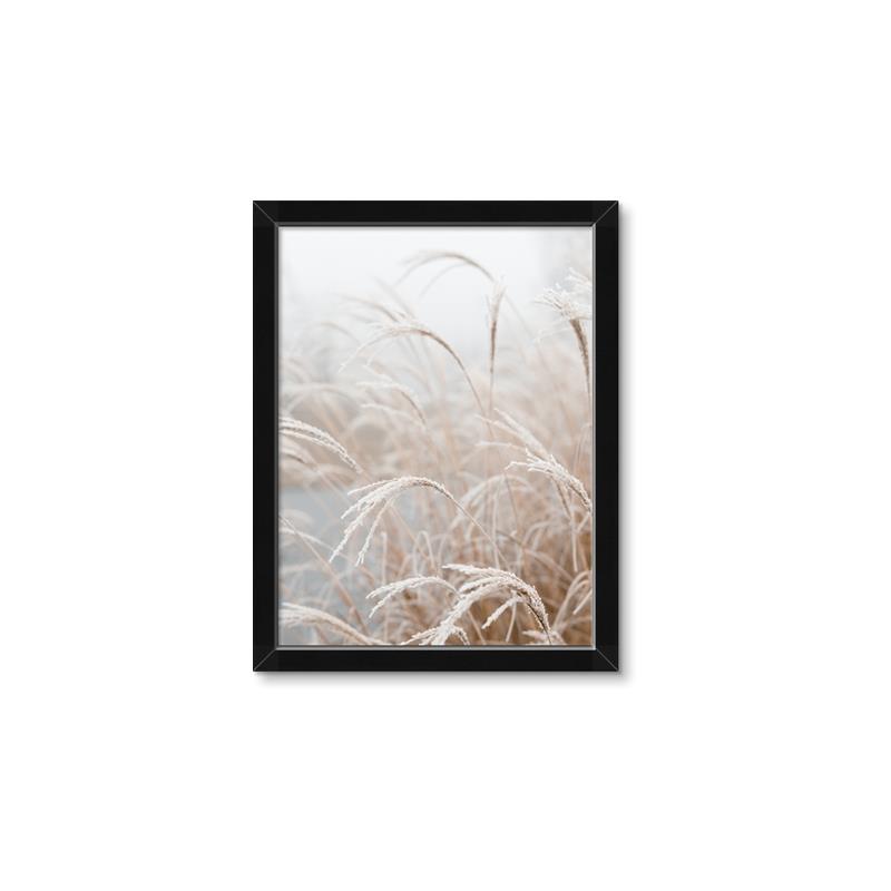 Picture of Frosted pampas grass _GroupedProduct_Rectangle_Portrait_Photography _GroupedProduct_Rectangle_Portrait_Framed_Matted_