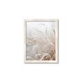 Picture of Frosted pampas grass _GroupedProduct_Rectangle_Portrait_Photography _GroupedProduct_Rectangle_Portrait_Framed_Matted_