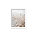 Picture of Frosted pampas grass _GroupedProduct_Rectangle_Portrait_Photography _GroupedProduct_Rectangle_Portrait_Framed_Matted_