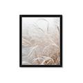 Picture of Frosted pampas grass _GroupedProduct_Rectangle_Portrait_Photography _GroupedProduct_Rectangle_Portrait_Framed_Matted_