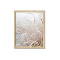 Picture of Frosted pampas grass _GroupedProduct_Rectangle_Portrait_Photography _GroupedProduct_Rectangle_Portrait_Framed_Matted_