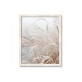 Picture of Frosted pampas grass _GroupedProduct_Rectangle_Portrait_Photography _GroupedProduct_Rectangle_Portrait_Framed_Matted_