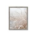 Picture of Frosted pampas grass _GroupedProduct_Rectangle_Portrait_Photography _GroupedProduct_Rectangle_Portrait_Framed_Matted_