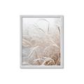 Picture of Frosted pampas grass _GroupedProduct_Rectangle_Portrait_Photography _GroupedProduct_Rectangle_Portrait_Framed_Matted_