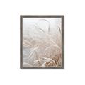 Picture of Frosted pampas grass _GroupedProduct_Rectangle_Portrait_Photography _GroupedProduct_Rectangle_Portrait_Framed_Matted_