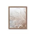 Picture of Frosted pampas grass _GroupedProduct_Rectangle_Portrait_Photography _GroupedProduct_Rectangle_Portrait_Framed_Matted_