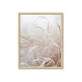 Picture of Frosted pampas grass _GroupedProduct_Rectangle_Portrait_Photography _GroupedProduct_Rectangle_Portrait_Framed_Matted_
