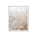 Picture of Frosted pampas grass _GroupedProduct_Rectangle_Portrait_Photography _GroupedProduct_Rectangle_Portrait_Framed_Matted_