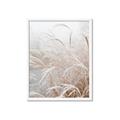 Picture of Frosted pampas grass _GroupedProduct_Rectangle_Portrait_Photography _GroupedProduct_Rectangle_Portrait_Framed_Matted_