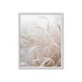 Picture of Frosted pampas grass _GroupedProduct_Rectangle_Portrait_Photography _GroupedProduct_Rectangle_Portrait_Framed_Matted_
