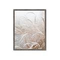 Picture of Frosted pampas grass _GroupedProduct_Rectangle_Portrait_Photography _GroupedProduct_Rectangle_Portrait_Framed_Matted_