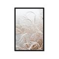 Picture of Frosted pampas grass _GroupedProduct_Rectangle_Portrait_Photography _GroupedProduct_Rectangle_Portrait_Framed_Matted_