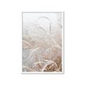 Picture of Frosted pampas grass _GroupedProduct_Rectangle_Portrait_Photography _GroupedProduct_Rectangle_Portrait_Framed_Matted_