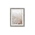 Picture of Frosted pampas grass _GroupedProduct_Rectangle_Portrait_Photography _GroupedProduct_Rectangle_Portrait_Framed_Matted_
