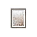 Picture of Frosted pampas grass _GroupedProduct_Rectangle_Portrait_Photography _GroupedProduct_Rectangle_Portrait_Framed_Matted_